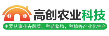 鄒城市創(chuàng)拓礦山設(shè)備有限公司